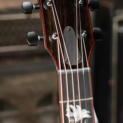 Taylor Catch Event Custom C16ce B4025 Grand Symphony Honduran Rosewood/Lutz Spruce Grand Symphony Acoustic/Electric Guitar with Hardshell Case image 8