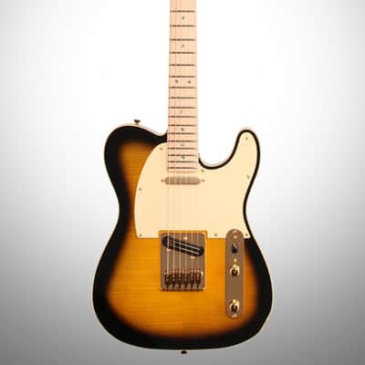Fender Richie Kotzen Telecaster (Maple), Brown Sunburst image 2