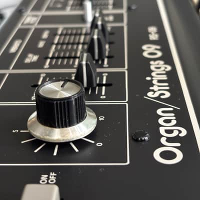 Roland RS-09 44-Key Organ / String Synthesizer 1979 Fully Serviced image 6