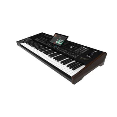 Korg Pa5X Oriental 61 Professional Arranger Keyboard Workstation image 3