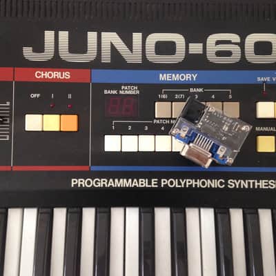 Midi DCB image 2