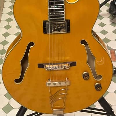 Ibanez PM2 AA Pat Metheny c/astuccio image 1