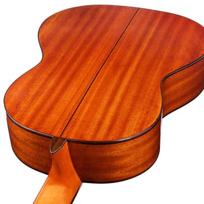 Cordoba Iberia Dolce 7/8 Size Nylon Guitar image 4