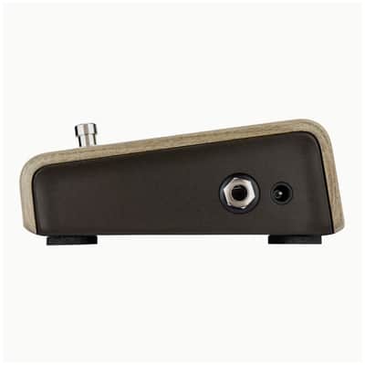 LR Baggs Align Series Active DI Acoustic Pedal Bundle w/ 12x Picks and Liquid Audio Polishing Cloth image 4