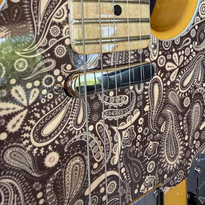 Fender American Professional Telecaster image 12
