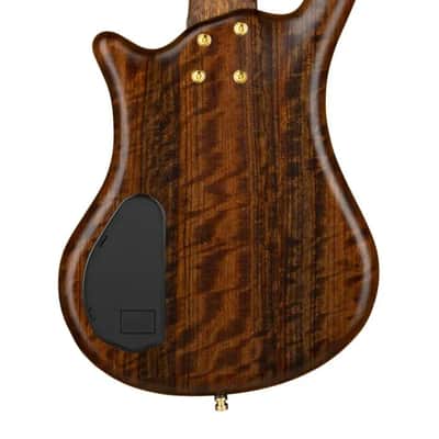 Warwick Pro Series Thumb BO-5 String-Nirvana Black Transparent Satin, Gold Hardware image 8