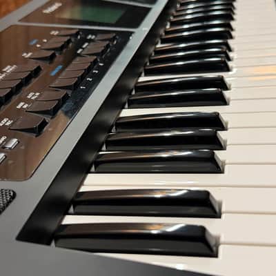 Roland BK-5 61-Key Backing Keyboard 2012 - Present - Black image 5