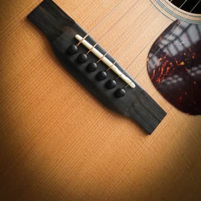 Eastman E1 D image 5