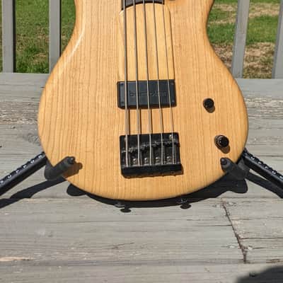 Ibanez GWB1 image 2