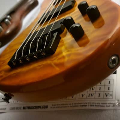 Immagine Spector Q5 Pro 5 String Emghz 35" scale
W/ tan Ibanez Power Pad (Soft Case) - 1