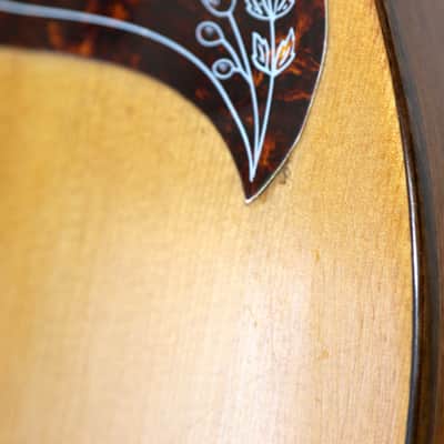 Rare Apollo Parlor No. 006 Acoustic Guitar With Hard Shell Case image 12