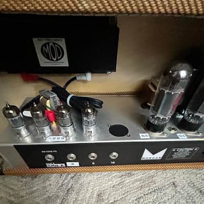 Morgan Amplification Goat JS40 Tube Head Super Reverb w/ 3 knob Spring Reverb Rare ! - Tweed image 11