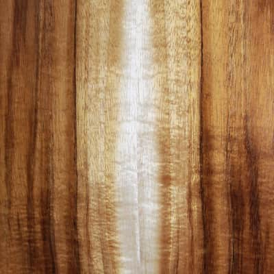 Taylor BT-E Koa Baby Taylor w/ ES-B Electronics Acoustic Guitar image 10