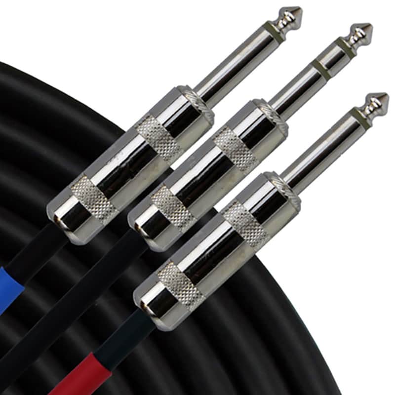 RapcoHorizon 1/4 TRS Male to 1/4 TS Male Y-Cable (2 Foot) image 1