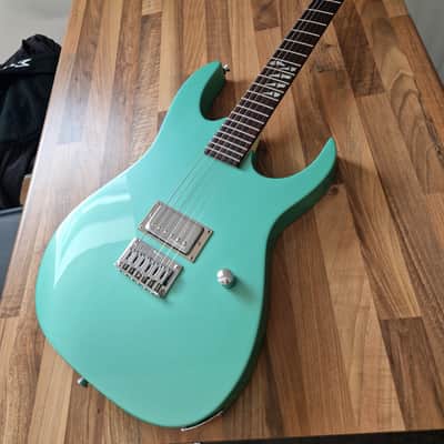 Ibanez RG custom image 3