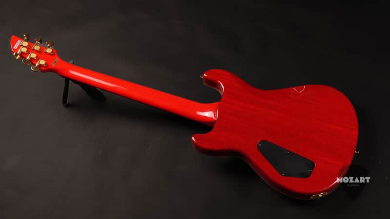 【Fernandes】APG-100 FERNANDES APG-100 for sale - Price and Used Value