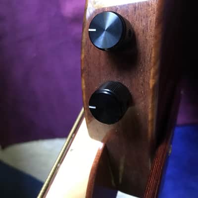 Rick Turner RB5 Fretted 2015 Gloss Renaissance Bass image 3