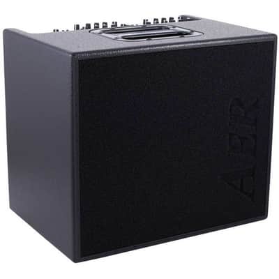 AER Domino 2A | 100W 2x8" +Tweeter Acoustic Combo. New with Full Warranty! image 7