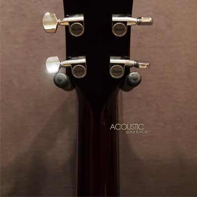 Taylor T5 Pro – Borrego Red 2013 image 4