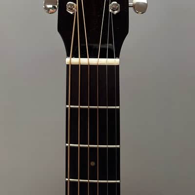 Bedell Breedlove Brazilian Rosewood Brand New With Cities passport image 5