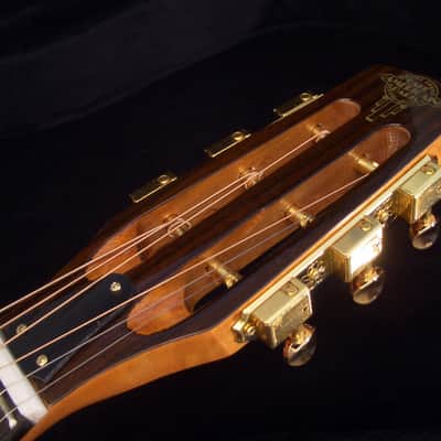 ON SALE. Cafe Americain Gypsy Jazz Guitar, From France Beautiful Manon Model. image 8