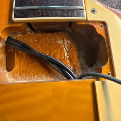 Burny by Fernandes "The Revival" Super Grade RLG70-59 - '59 Model Les Paul Standard Reissue - Made in Japan - Pro Set Up w Perfect Frets/Action/Intonation image 16