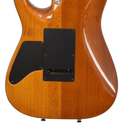 Tom Anderson Arc Angel Player Honey Shaded FM RW image 4