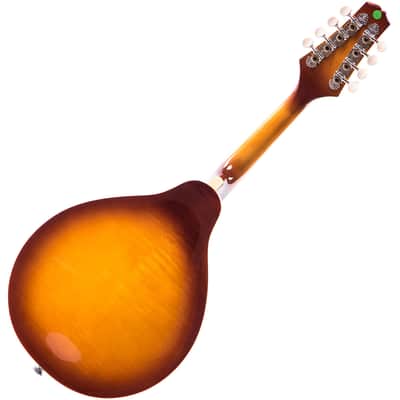 Redwood M20E Electro Mandolin - Sunburst image 4