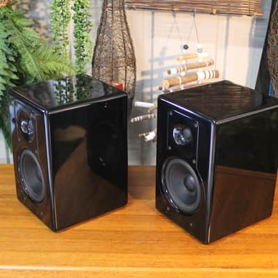 Unison I-X5 2-Way Bi-Amp Powered Speakers - Hand Built Tuned Enclosures image 5