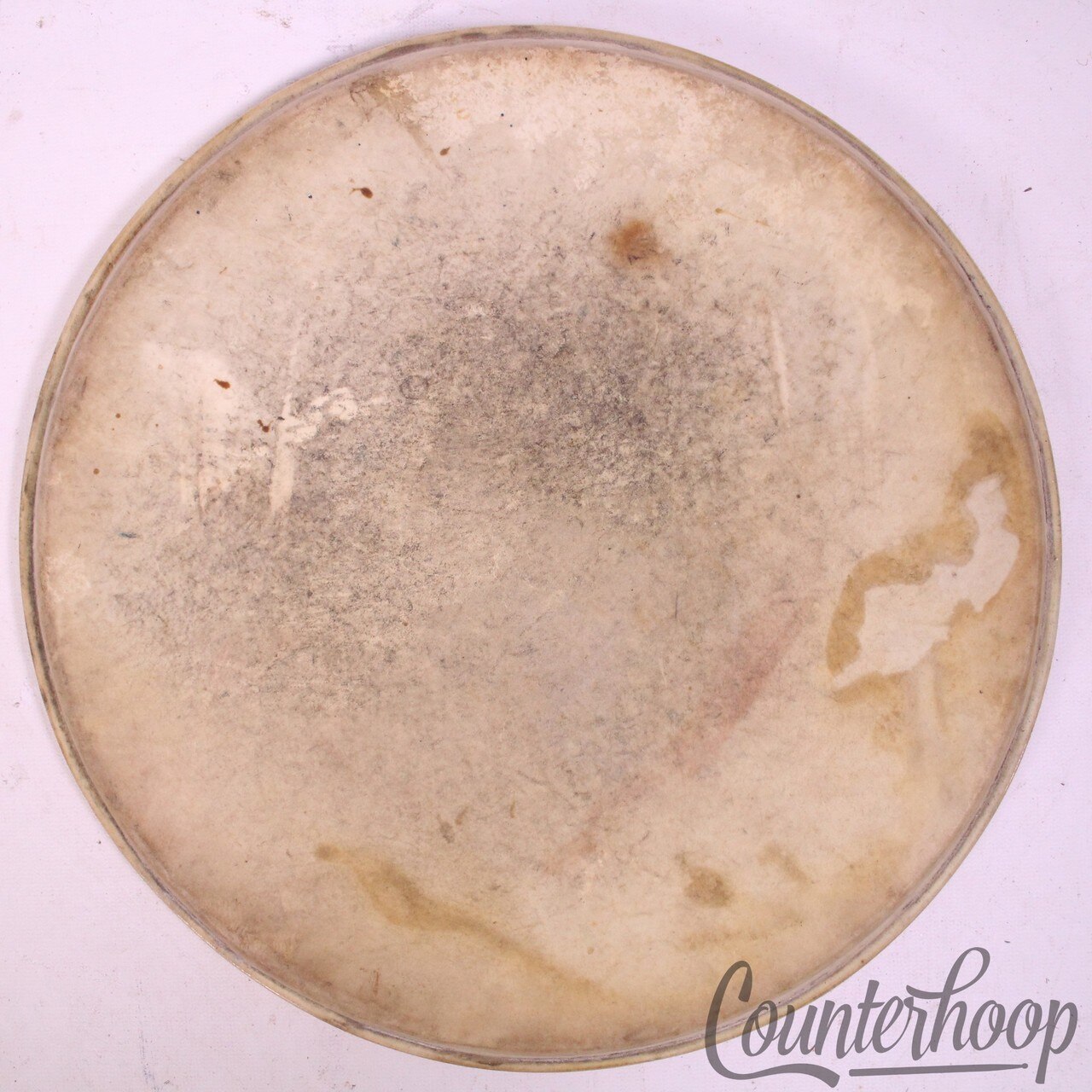 Leedy 12" Calf Skin Tom Drum Head Maple Flesh Hoop Batter/Resonant Vintage 30s* — main photograph