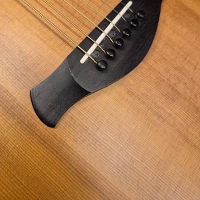 Taylor 717e Builder's Edition Grand Pacific V Class Bracing image 5