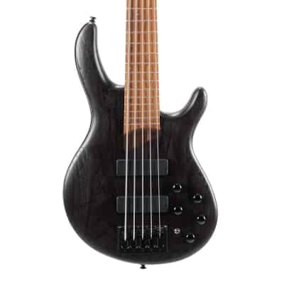 Cort Artisan Element 5-String Bl Open Pore Finish image 3