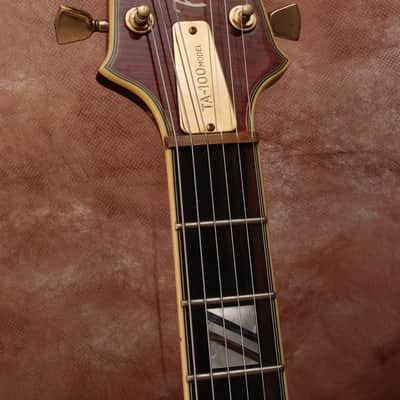 Aria Pro II TA-100 AB image 9