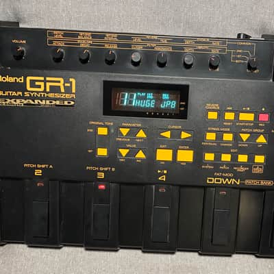 Roland GR-1 Guitar Synthesizer Expanded 6MB