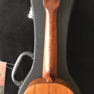 Lyon & Healy / Washburn Soprano 1920s image 7