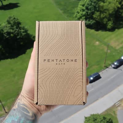 Ibanez Pentatone Gate 2025 - 2 year Thomann Warranty image 10