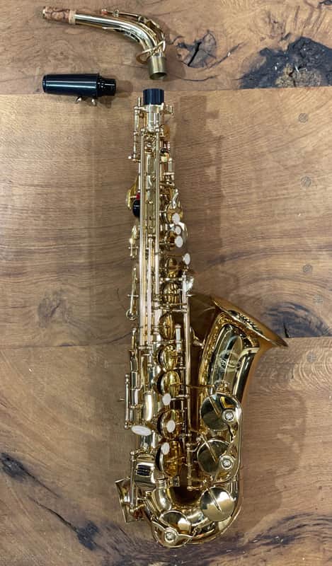 Artemis A1 Alto Saxophone - Gold image 1