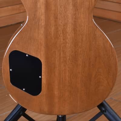 Gibson Les Paul Standard 60s Double Trouble Vintage Honey Burst Gloss image 18