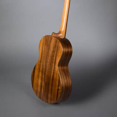 ATR Classical 2025 - French polish image 5
