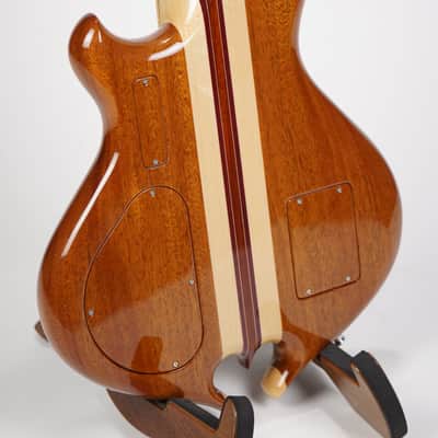 Alembic Darling Cocobolo Guitar image 4