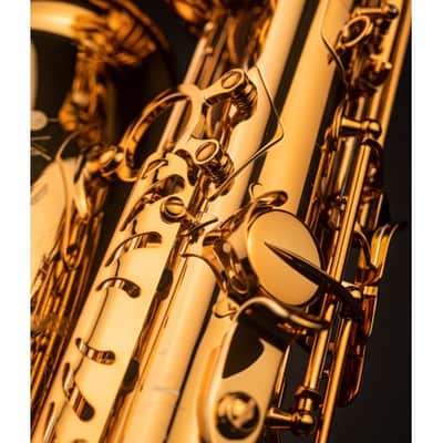 Selmer Signature DGG alto saxophone image 4
