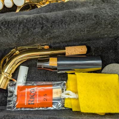 Alpine Woodwinds AAS143 2010's Alto Saxophone with Case - Gold image 4
