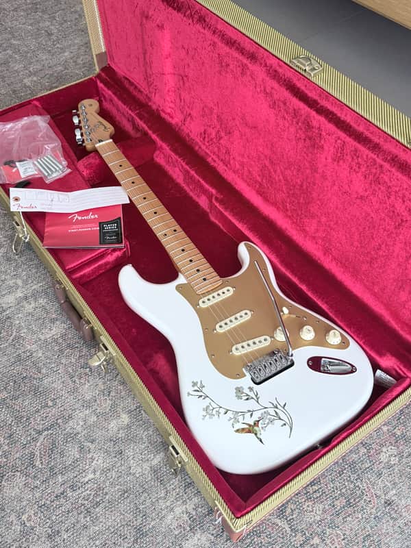 Fender Player Stratocaster - Modded image 1