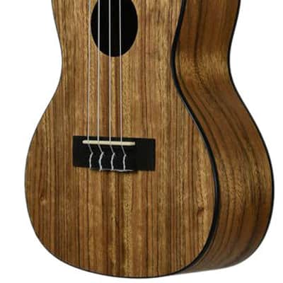 Kala KA-PWC Pacific Walnut Concert Ukulele image 4