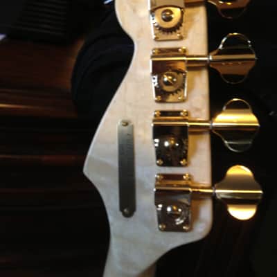 Texas Customs "Sweet Sixteen" P/J Precision  Bass 2013  MINT  Free ship! image 8