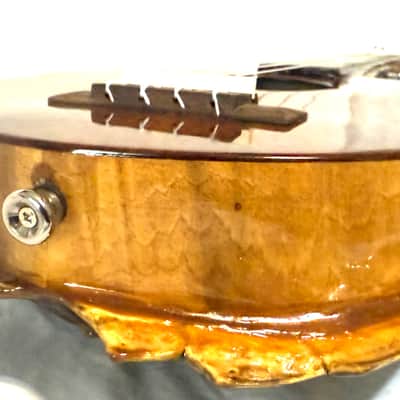 Turtle Shell Tenor Ukulele image 5
