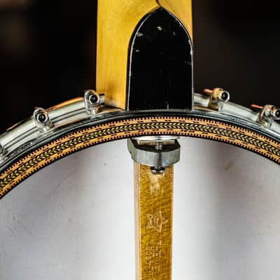1924 Vega Whyte Laydie 6-string Banjo image 10