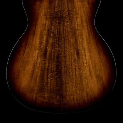 Taylor 224ce-K DLX - Shaded Edgeburst #95337 image 2