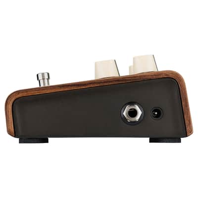 L.R. Baggs Align Series Reverb Acoustic Guitar Effects Pedal image 5