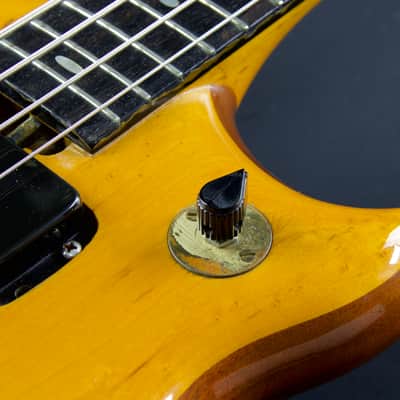 1975 Alembic Series 1 image 9